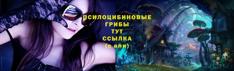 Галлюциногенные грибы Magic Shrooms  ОМГ ОМГ как зайти  Невельск 